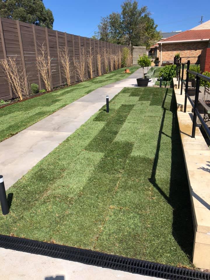 New turf laid in rolls along a concrete path beside a timber fence